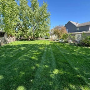 yard service by Chloe’s Lawn Care LLC reviewed on August 16, 2025