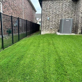 yard service by Hector's Lawn Care reviewed on August 16, 2025