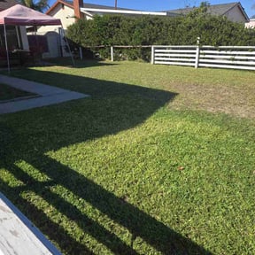 lawn maintenance by Terra Verde Landscape &amp; Design reviewed on July 17, 2025