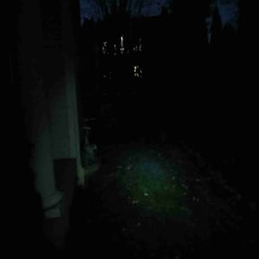 Leaf Removal by J.C. Lawn Service reviewed on November 19, 2025