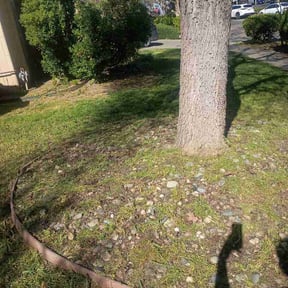 Flower Bed Weeding by K Sisters Lawncare reviewed on April 13, 2026