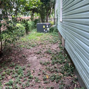 Leaf Removal by On the go reviewed on August 16, 2025