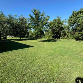 yard care by Honey Do’s Landscaping LLC reviewed on August 15, 2025