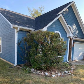 Bush Trimming by Moncada&#039;s Lawn Care reviewed on November 10, 2025