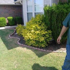 Bush Trimming by Marroquin Landscaping reviewed on April 17, 2026