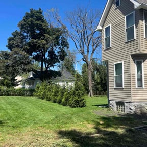 residential landscaping by classic cuts lawn care reviewed on August 18, 2025