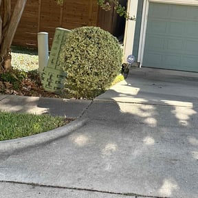 Bush Trimming by YouKnoDaInfo LLC reviewed on August 18, 2025