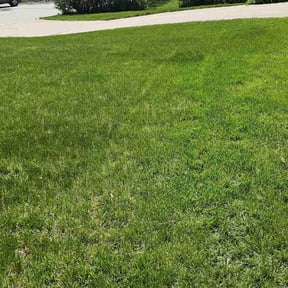 landscape maintenance by Nordic mowing reviewed on August 18, 2025