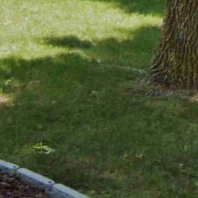 Leaf Removal by Excellence construction and maintenance reviewed on December 3, 2025