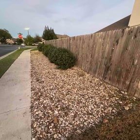 Flower Bed Weeding by Plant Based Business reviewed on March 20, 2026