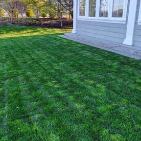 yard work by Montijo & son reviewed on August 18, 2025