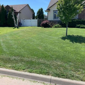 yard maintenance by NMH Renovations&landscaping LLC reviewed on August 17, 2025