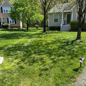 landscape maintenance by All NHauling N Mowing reviewed on August 17, 2025