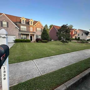 turf care by Local Green Lawn Care LLC reviewed on August 19, 2025