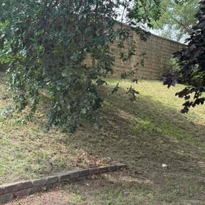 Leaf Removal by Mow&#039;N&#039;Go Lawn Care reviewed on September 22, 2025