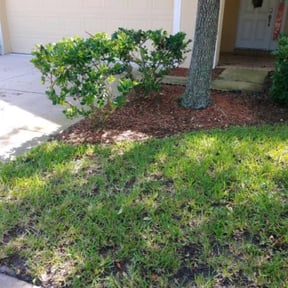 Bush Trimming by Greg's Landscaping reviewed on August 18, 2025