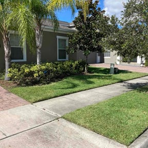 yard maintenance by MR Lawns LLC reviewed on August 19, 2025