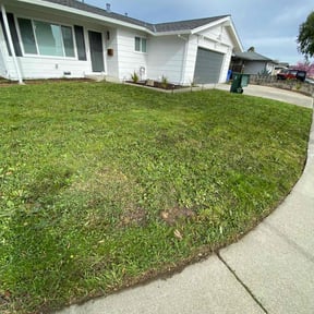 lawn care services by Case Home Services, LLC reviewed on May 3, 2024