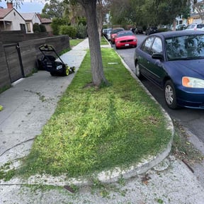 lawn maintenance by C & J Mowing reviewed on May 20, 2024