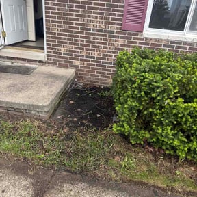 Bush Trimming by N&amp;Ylawnproservicellc reviewed on May 28, 2026