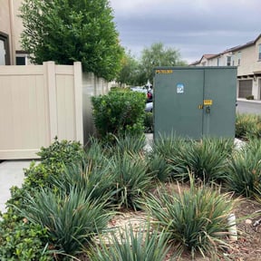 Bush Trimming by Boss Outdoor Service reviewed on November 10, 2025