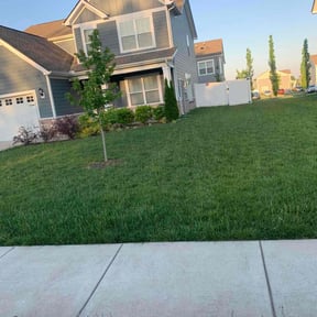 residential landscaping by A&M reviewed on August 20, 2025