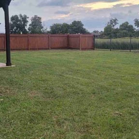 turf maintenance by StylePro LLC reviewed on July 25, 2025