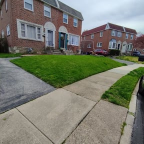 yard maintenance by Peter Camiolo reviewed on August 17, 2025