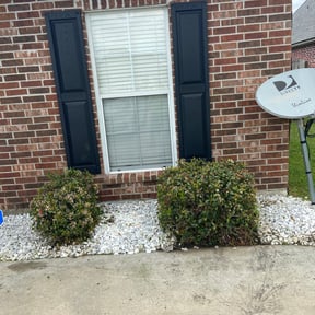 Bush Trimming by SFI reviewed on August 17, 2025