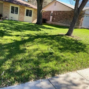 lawn care services by Texas Services SA reviewed on November 17, 2023