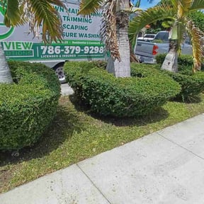 Bush Trimming by Slaughter Clean Cut Lawn Care llc reviewed on January 21, 2026