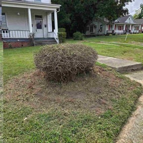 Bush Trimming by Yard Genie  reviewed on November 8, 2025