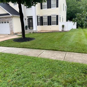 landscape maintenance by Starlings Lawn Care LLC reviewed on August 16, 2025