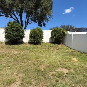 Bush Trimming by Medina Property Maintenance reviewed on August 9, 2025