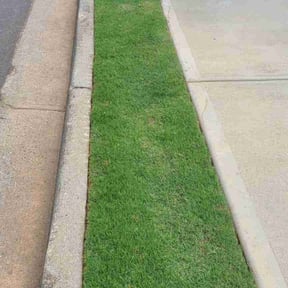 residential landscaping by Fidel & Sons Lawncare reviewed on August 21, 2025