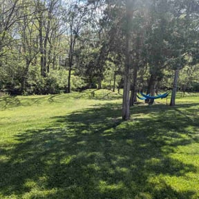 landscaping by Lawn Junkie reviewed on August 16, 2025