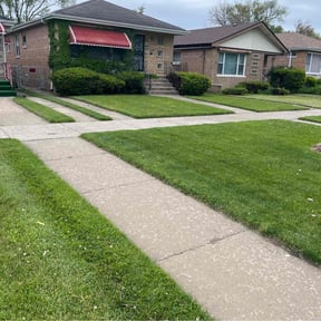 landscaping services by Robby's Landscaping reviewed on August 21, 2025