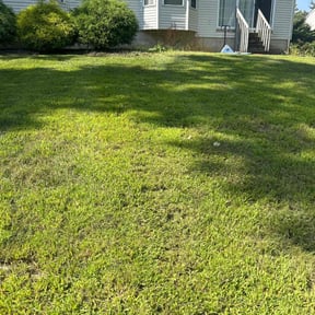 yard care by Superior Landscape & Maintenance, Inc. reviewed on August 17, 2025