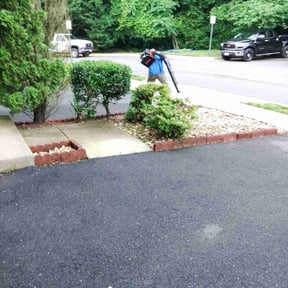 Bush Trimming by Tri Stars landscaping and Snow Services LLC reviewed on August 21, 2025