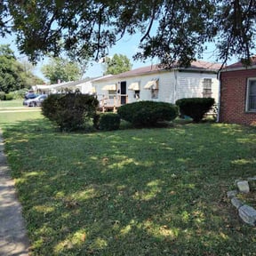 Bush Trimming by Big Dog Landscaping &amp; Lawn Services reviewed on October 18, 2025