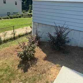 Flower Bed Weeding by True Grass Care reviewed on August 15, 2025