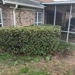 Bush Trimming by Farmstead Lawn Care reviewed on November 21, 2025