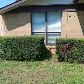 grass maintenance by Mojica Lawn Care reviewed on September 18, 2023