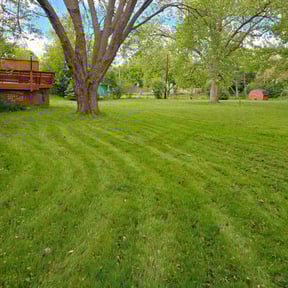 yard maintenance by Var Landscape reviewed on August 21, 2025