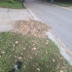 Bush Trimming by Reds lawncare and more reviewed on August 19, 2025