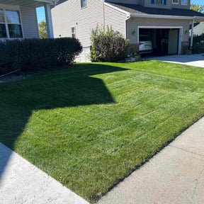 landscape maintenance by B&amp;M Paradise services LLC reviewed on November 23, 2025