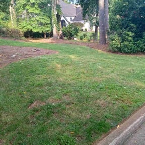 turf maintenance by Pro Lawns 320 reviewed on August 11, 2025