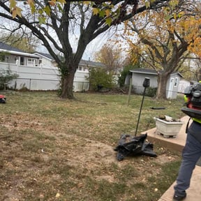 Leaf Removal by Mozelle Lawncare reviewed on August 15, 2026