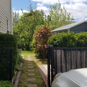 Bush Trimming by Mike's Lawn & More reviewed on August 19, 2025