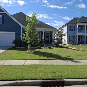 gardening service by GreensRUs llc reviewed on November 27, 2025